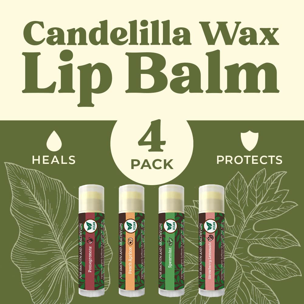 Vegan Lip Balm by Earth’s Daughter, Beeswax Free Lip Balm, Natural, Organic Flavors - 4 Pack of Assorted Flavors, Plant Based Vegan Chapstick, Lip Moisturizer : Beauty & Personal Care