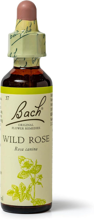 Bach Original Flower Remedies (Wild Rose) Live The Day, Show Enthusiasm, Emotional Wellness, Natural Flower Essence, 20Ml