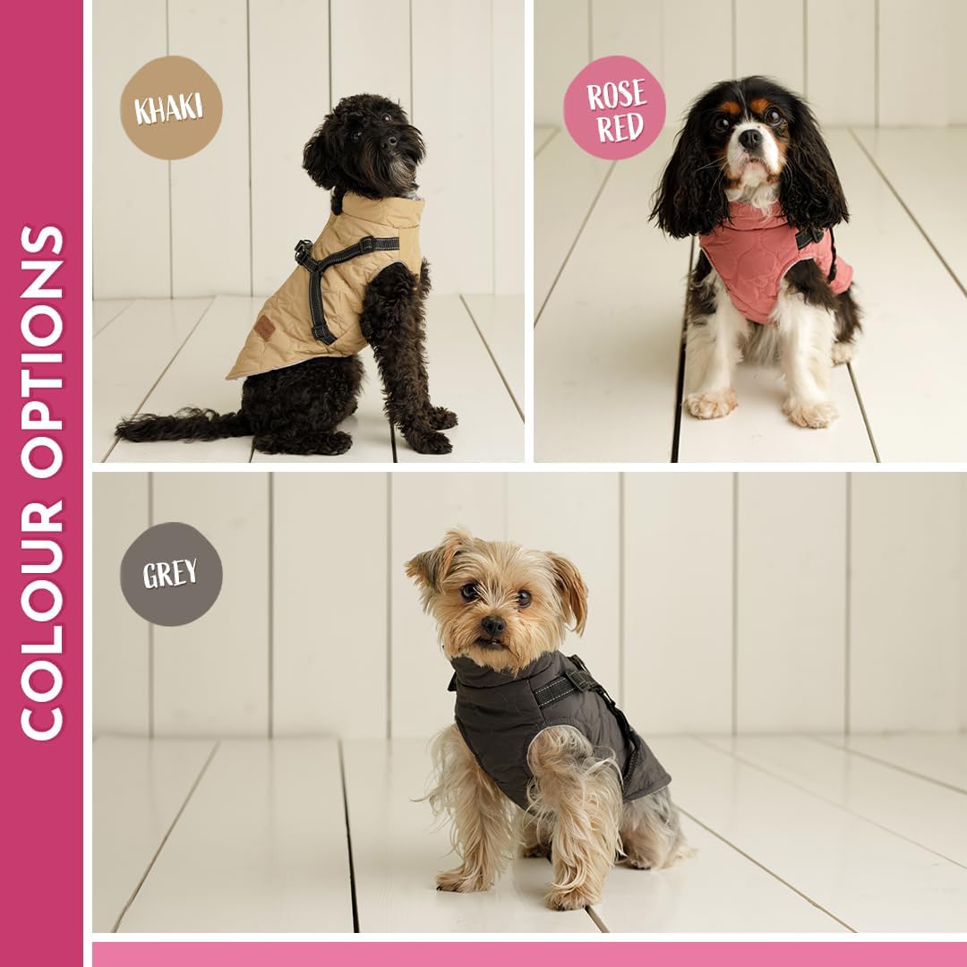 Pawbits Waistcoat for Small Dogs - Fleece-Lined, Warm, Reflective Waistcoat with Built-in Harness for Dogs - S, M, L, XL, XXL, XXXL - Designed for Small Dogs :Pet Supplies