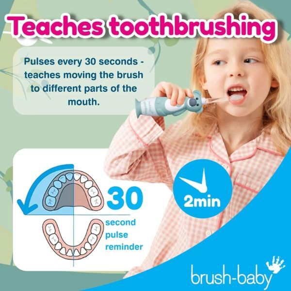 Brush Baby Wildones™ Koala Kids Rechargeable Toothbrush