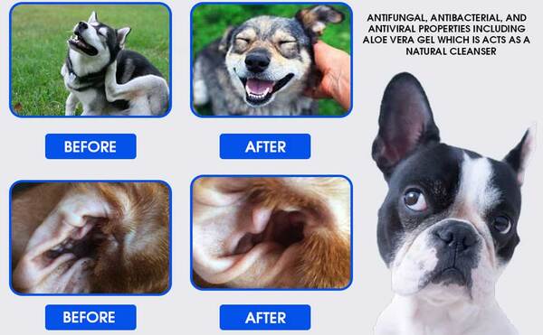 Dr.Dog Ear Cleaner Drops For Head Shaking Ears Itching Mites