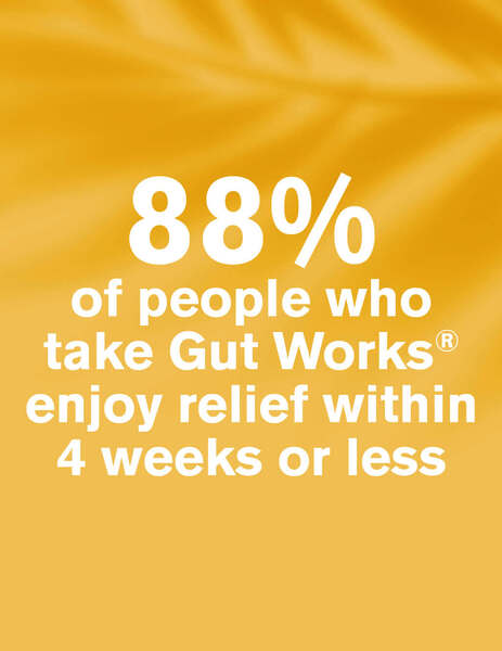 Dr.Vegan Gut Works® | 30 Day Supply | 1 Capsule Per Day