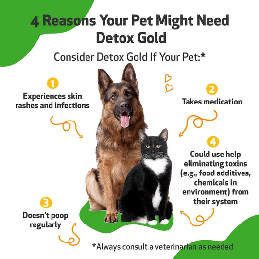 Pet Wellbeing Detox Gold For Dogs & Cats - Vet-Formulated - Gentle Detoxification & Elimination Support - Natural Herbal Supplement 4 Oz (118 Ml)