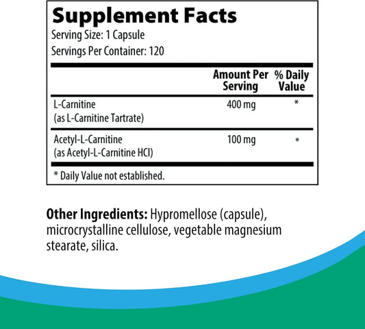 Rootcology By Dr. Izabella Wentz | Carnitine Blend | L-Carnitine & Acetyl-L-Carnitine Formula | Ideal For Vegetarians | 120 Capsules