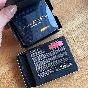 Anastasia Beverly Hills - Blush Trios - Pool Party : Amazon.co.uk: Beauty