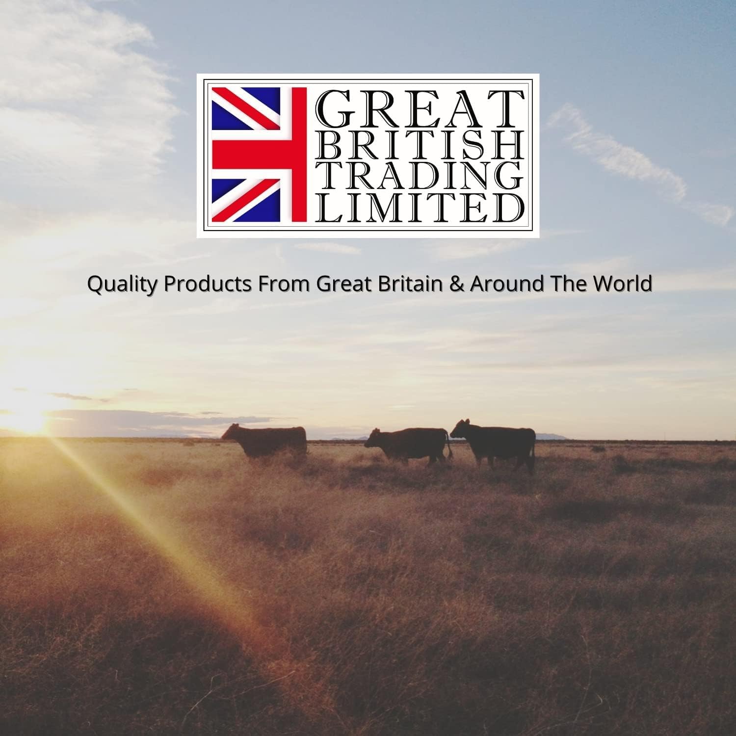 Mozzarella Grated 2kg Arla Pro - from GREAT BRITISH TRADING LIMITED : Amazon.co.uk: Grocery