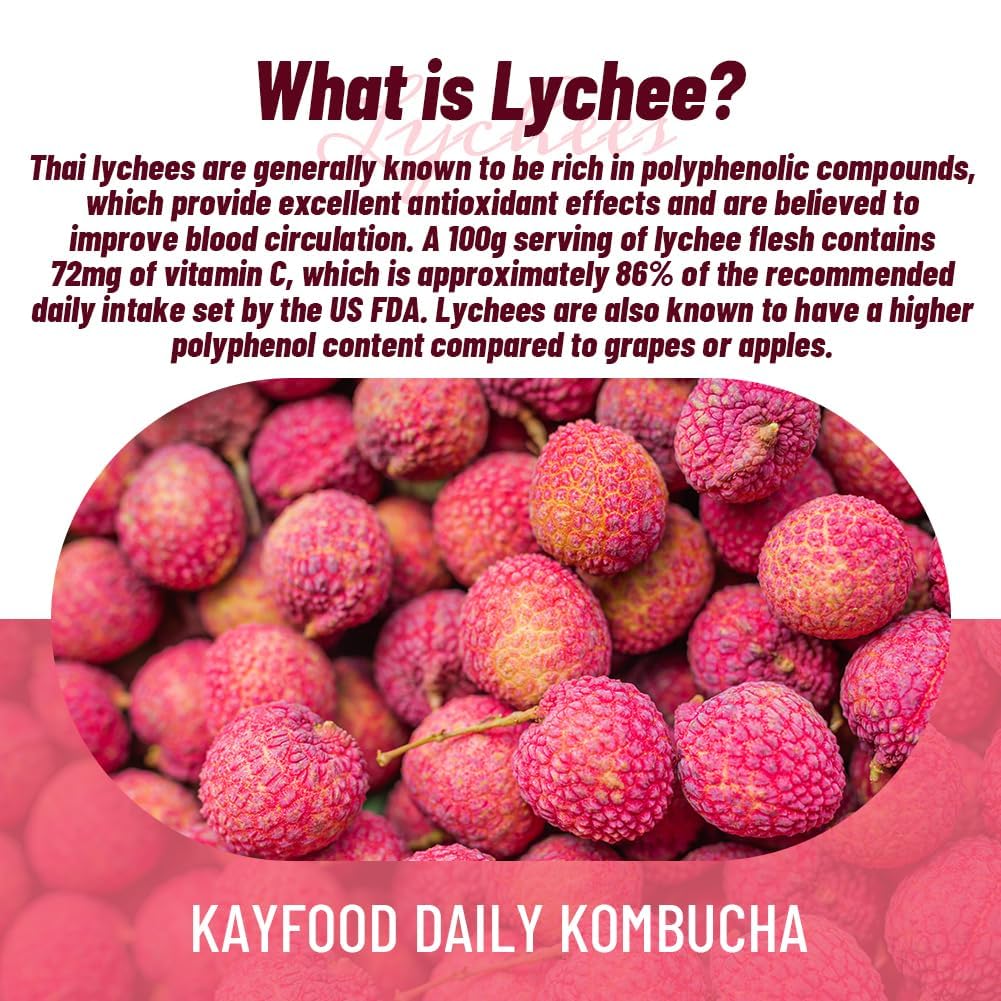 Kayfood-Kombucha-Lychee-Garden-Daily 20 Sticks With Gift Bottle Zero Sugar, Diet, Gut Healthy Sparkling Beverage, Fermented Korean Drinks For Iced Tea Hot Tea, Workout Tea 3.52Oz (100G)