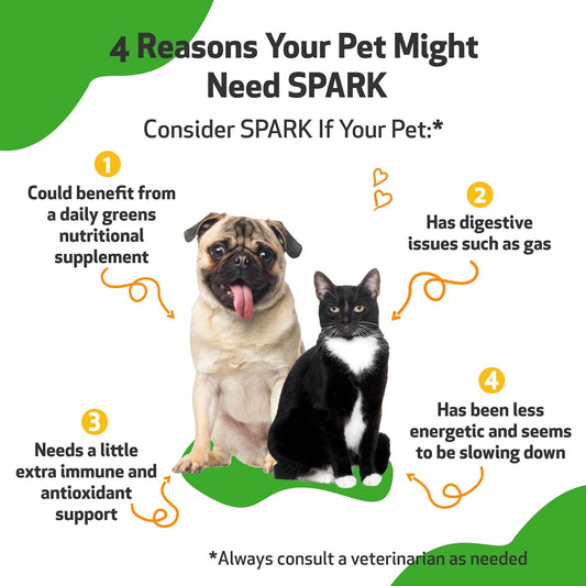 Pet Wellbeing Spark Daily Nutritional Greens Superfood For Dogs & Cats - Probiotics, Digestive Enzymes, Amino Acids, Antioxidants, Vitamin D, Spirulina & More - Vet-Formulated - 3.53 Oz (100 G) Powder