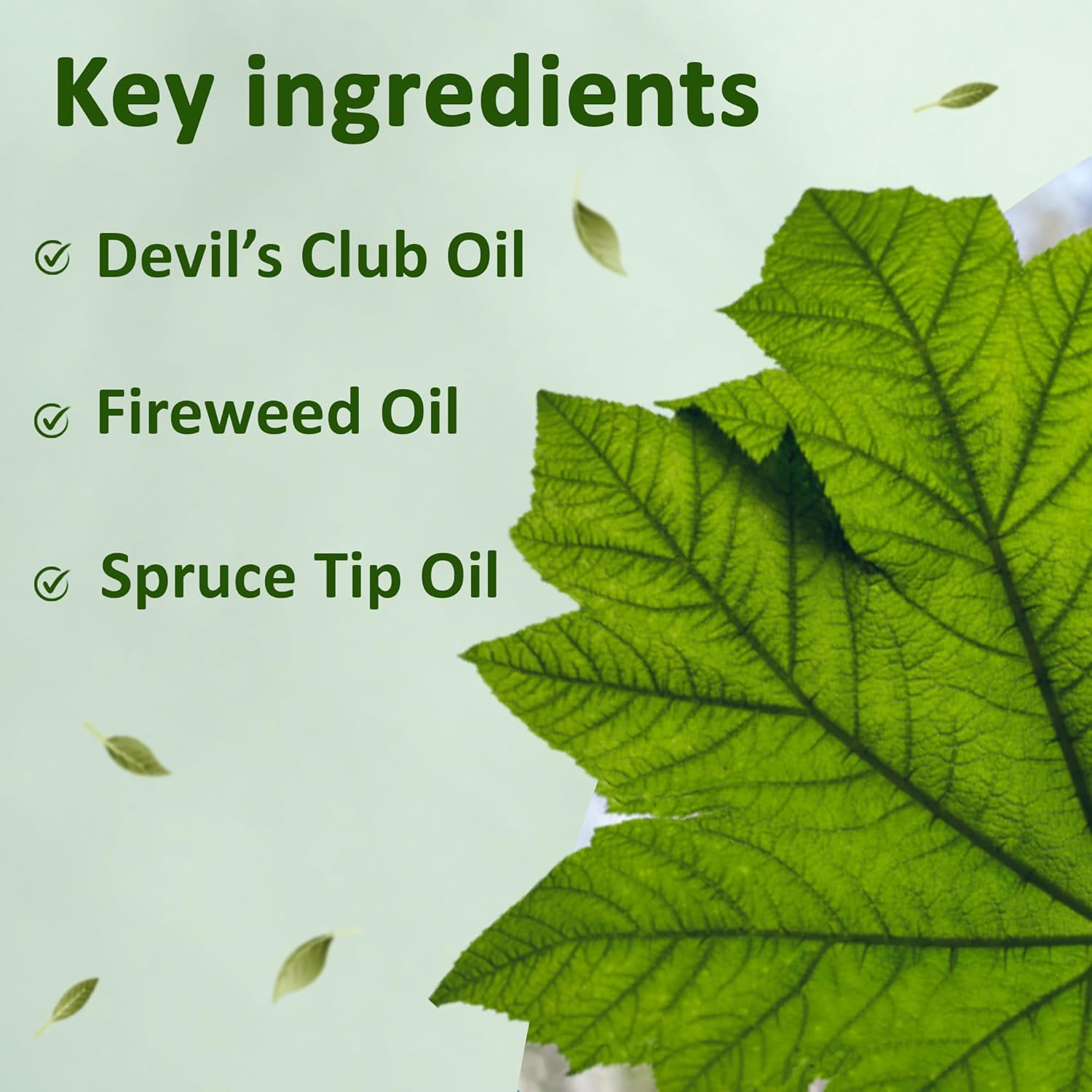 Snowy Summit Alaska Rainforest Salve - Herbal Salve For Dry Skin & Joint Relief - Natural Super Salve For Soothing Skin With Gentle Aroma - Body & Hand Salve - Muscle Rub With Alaskan Devil’S Club Oil : Health & Household