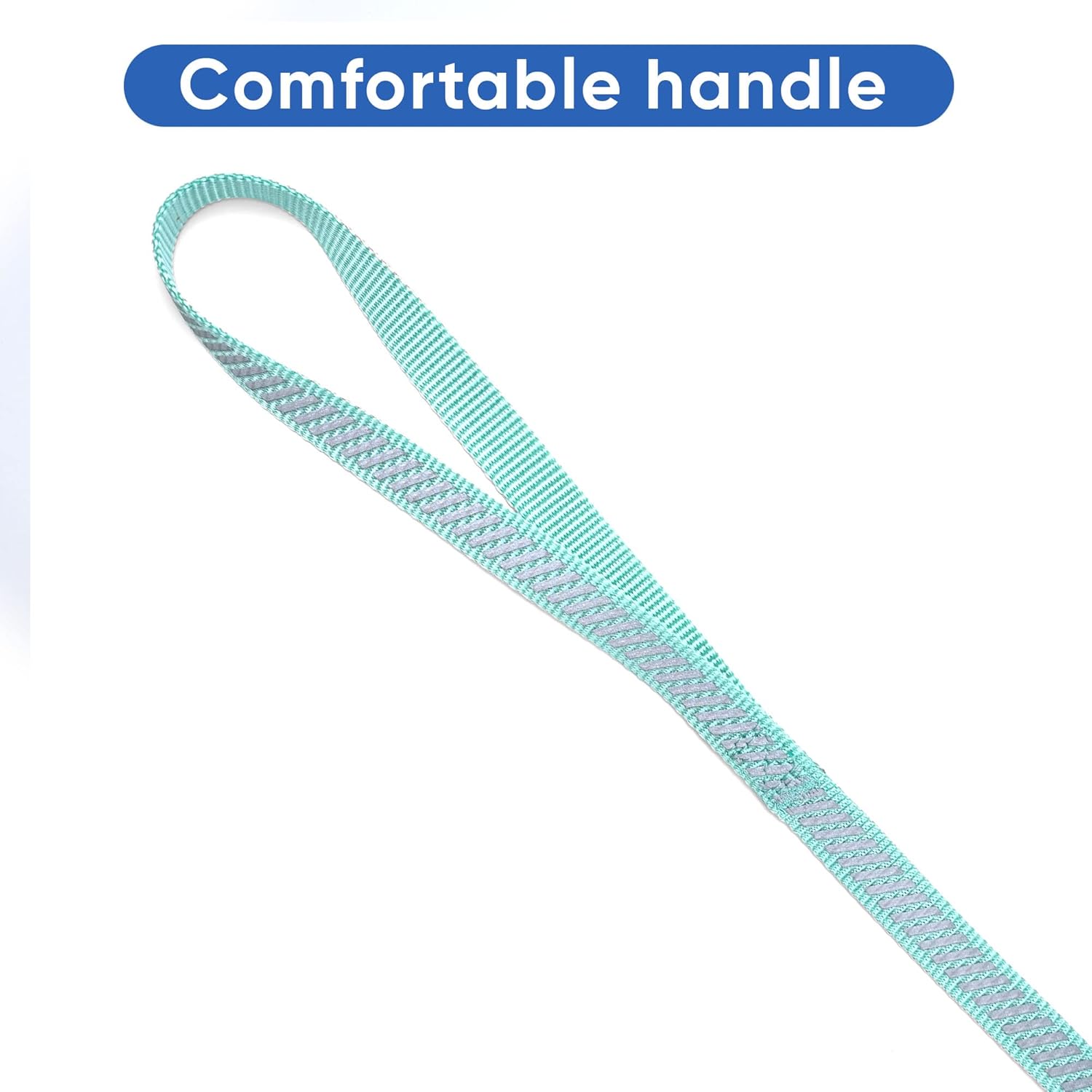 PAWTITAS Traffic Reflective Dog Leash Comfortable Handle for Heavy Duty Dog Training Lead for Small and Medium Dogs 6 ft - 180 cm | Extra Small/Small Teal Lead :Pet Supplies