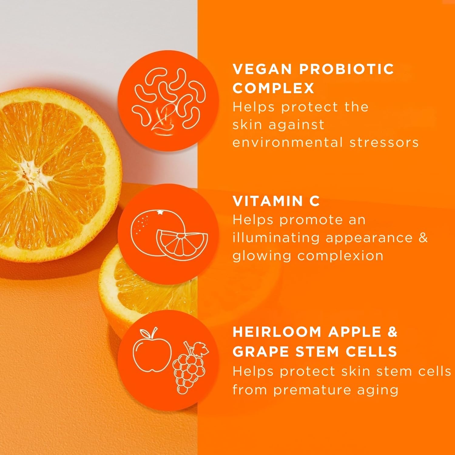 Andalou Naturals Probiotic + C Renewal Cream, Probiotic Plus C, Complexion Enhancing Face Moisturizer, Helps Promote Firmer Skin & More Even Skin Tone, Lightweight Hydrating Facial Moisturizer, 1.7 Oz : Beauty & Personal Care