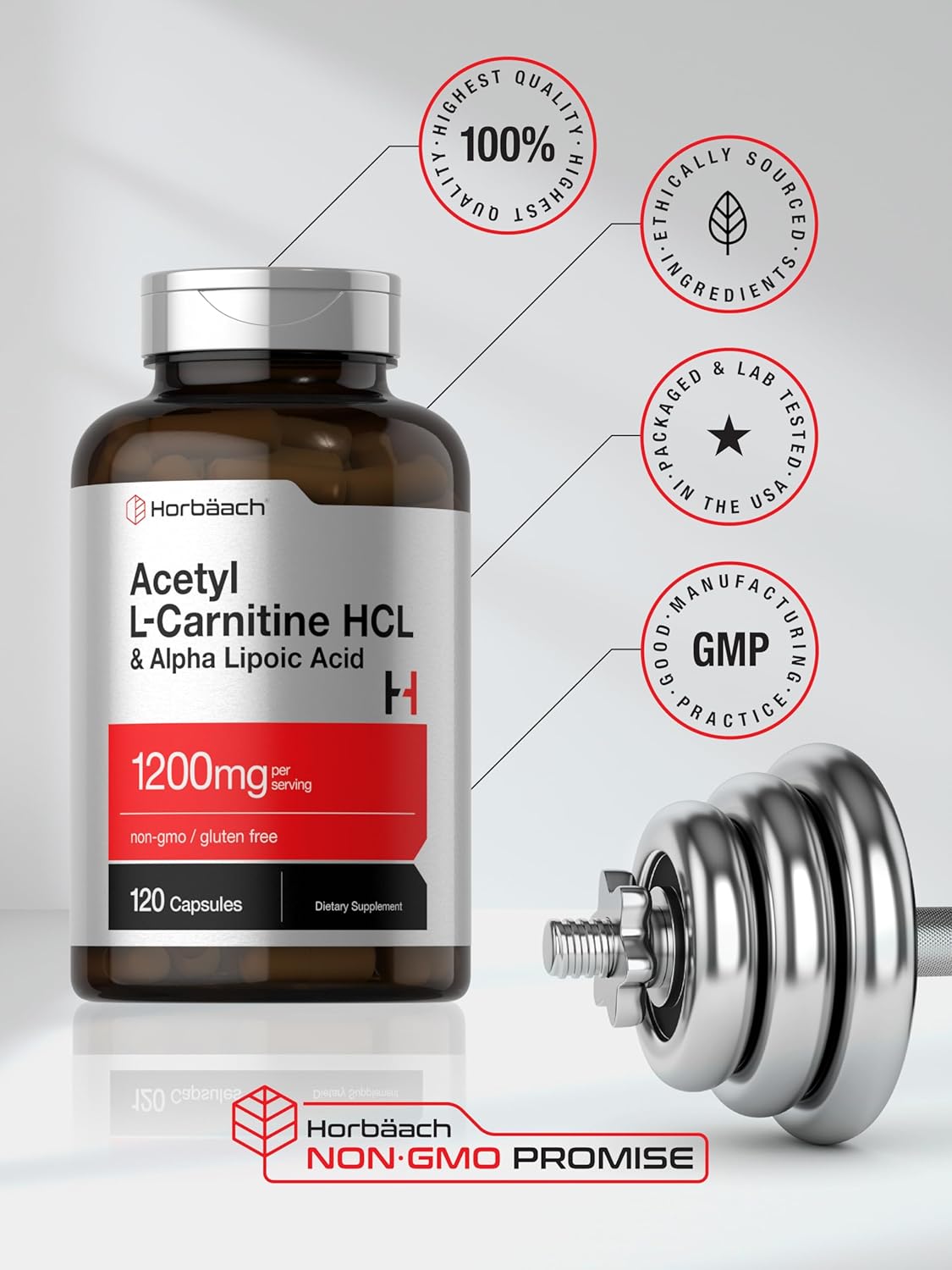 Horbäach Acetyl L Carnitine HCL & Alpha Lipoic Acid 1200mg | 120 Capsules | ALC ALA Complex | Non-GMO & Gluten Free Supplement : Health & Household