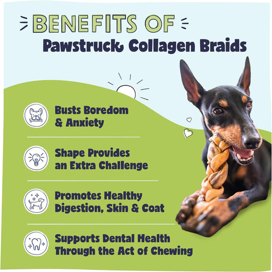 Pawstruck Natural 5-7” Beef Collagen Braids for Dogs - Healthy Long Lasting Alternative to Traditional Rawhide & Bully Sticks Chew Treats w/Chondroitin & Glucosamine - 5 Count - Packaging May Vary