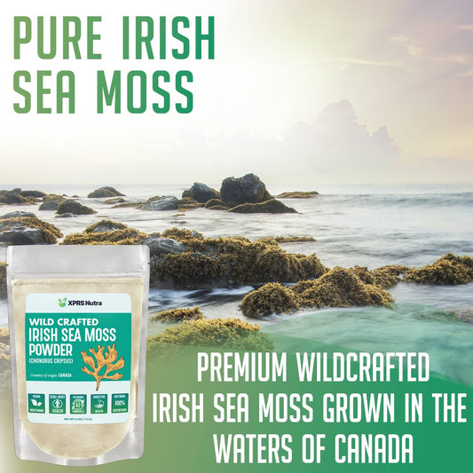 Xprs Nutra Irish Sea Moss Powder (Chondracanthus Chamissoi) - Premium Wildcrafted Seamoss Powder For Glowing Skin - Total Body Health Sea Moss Drink Powder - Vegan Friendly Irish Moss Powder (8 Oz)