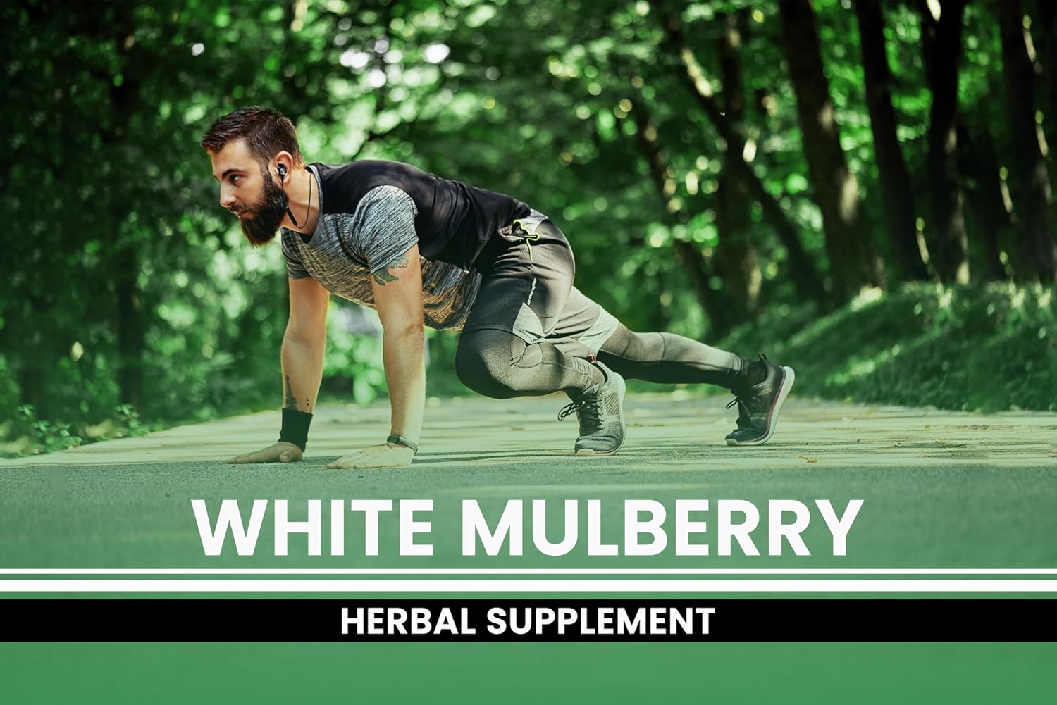 Pure Original Ingredients White Mulberry (365 Capsules) No Magnesium Or Rice Fillers, Always Pure, Lab Verified : Health & Household