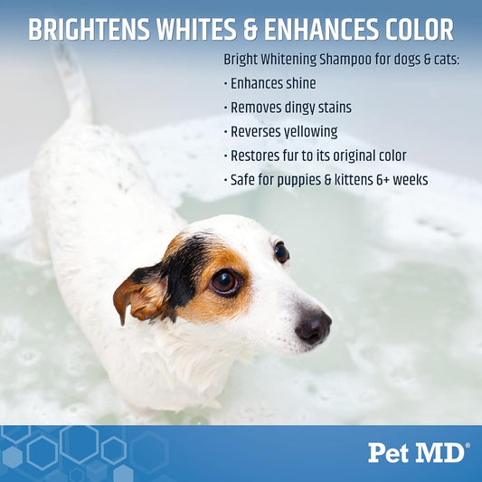 Pet Md Bright Whitening Shampoo For Dogs & Cats - Colloidal Oatmeal Moisturizes And Restores Dry Fur - Professional Dog Shampoo Gallon - Tearless Grooming Formula For Puppies & Kittens