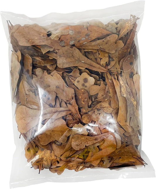 The Bio Dude Leaf Litter - Water Oak Litter - Great For Bioactive Terrariums, Vivariums And Fish : Pet Supplies