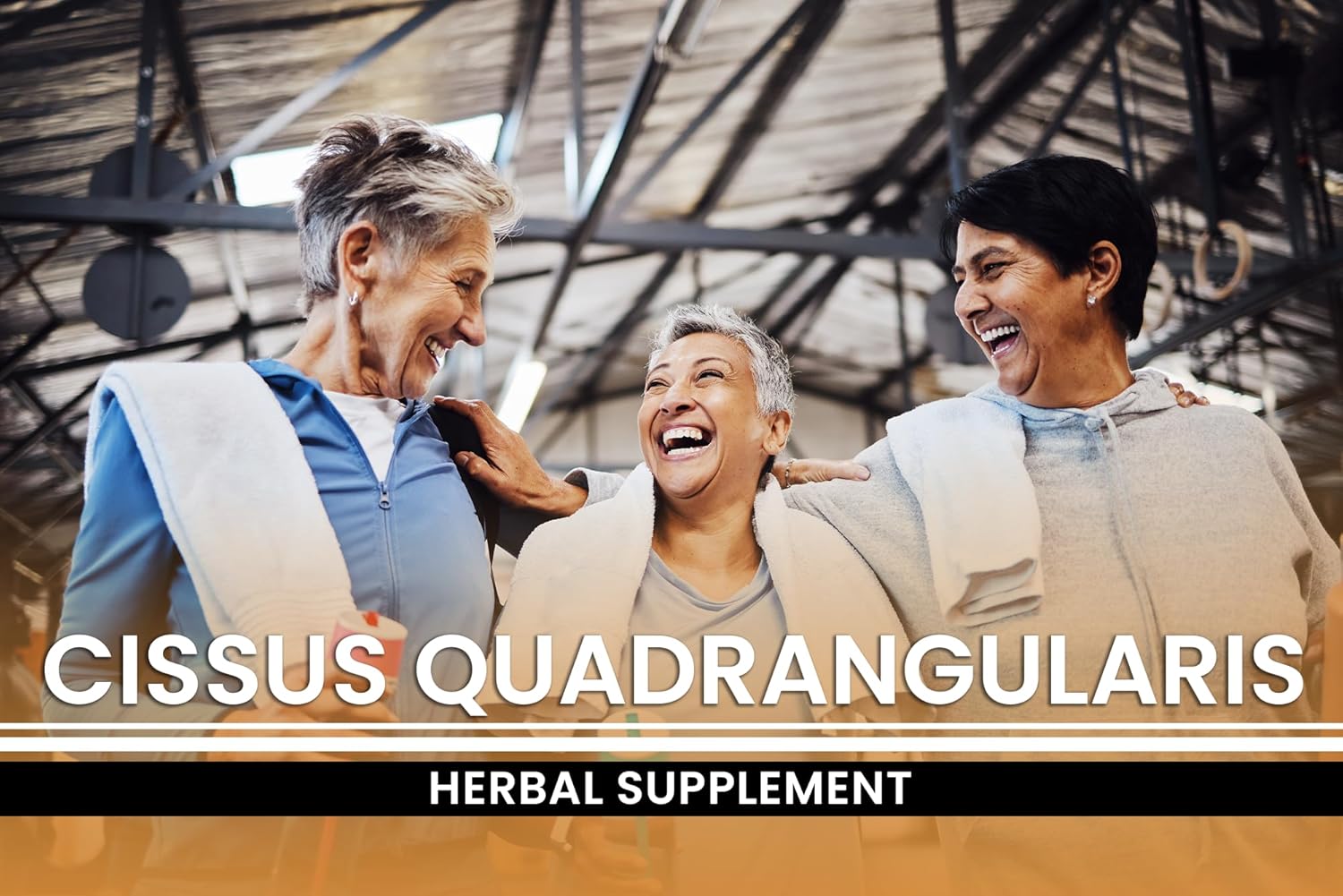 Pure Original Ingredients Cissus Quadrangularis (365 Capsules) No Magnesium Or Rice Fillers, Always Pure, Lab Verified : Health & Household