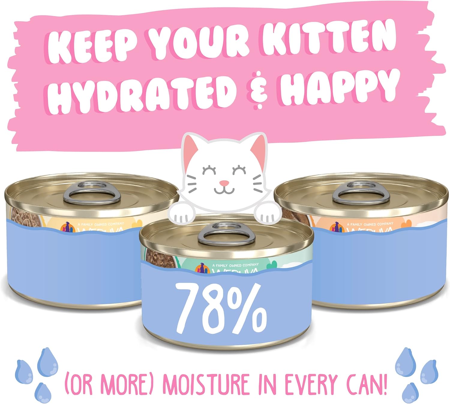 Weruva Kitten, Kitten Can Jam! Variety Pack, 3oz Can (Pack of 12) : Pet Supplies