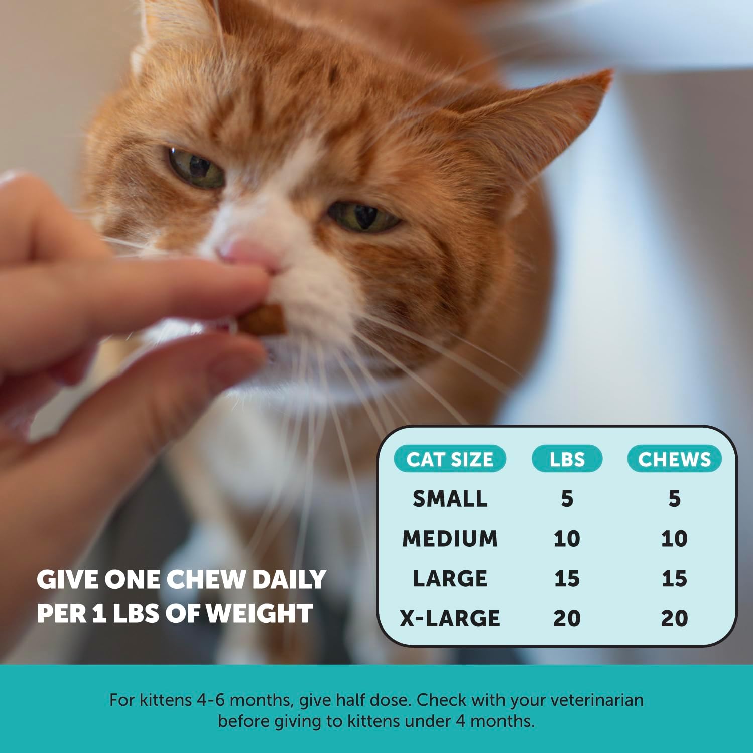 Pet Honesty Calming Chews for Cats - Cat Anxiety Relief + Helps Reduce Stress - Behavioral Support & Promotes Relaxation for Travel, Boarding, Vet Visits, Separation Anxiety - Chicken (30-Day Supply) : Pet Supplies