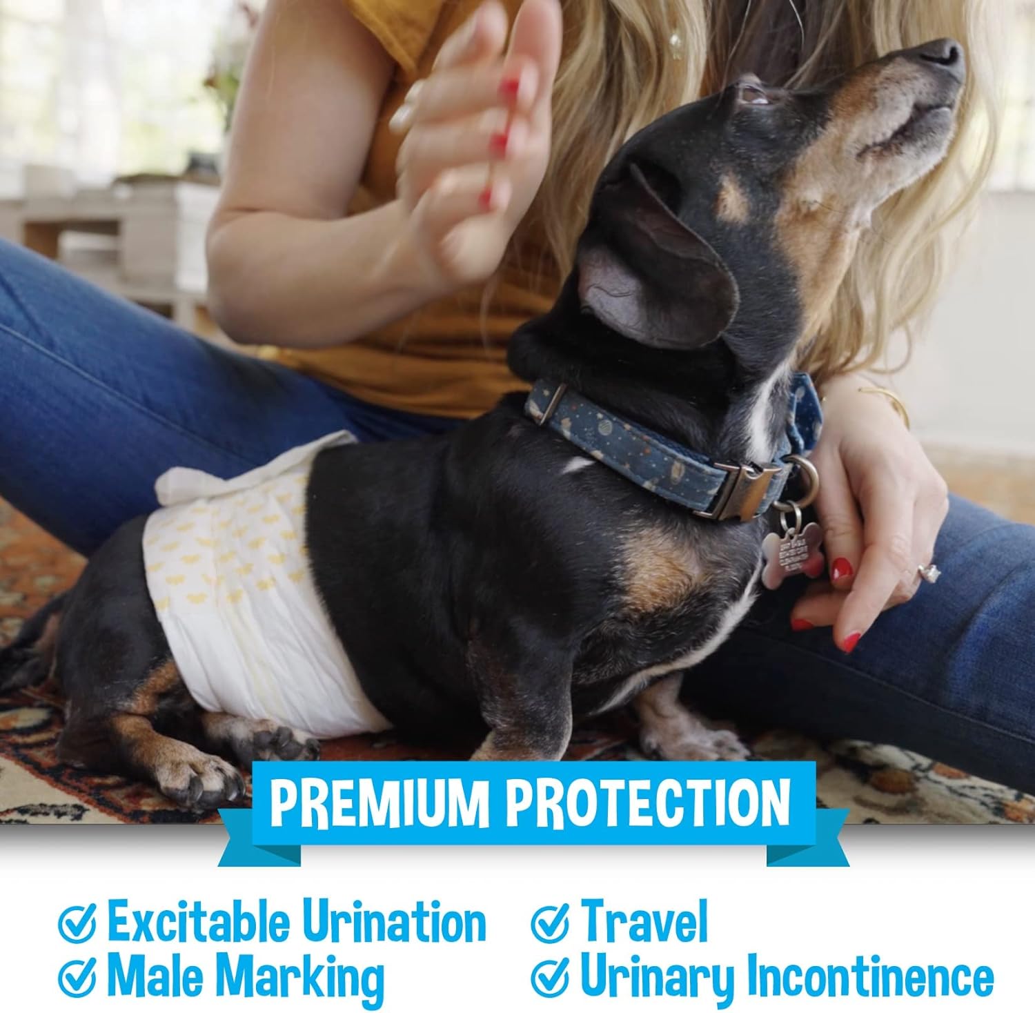 Bodhi Dog Disposable Male Dog Diapers | Super Absorbent Leak-Proof Fit | Premium Adjustable Male Dog Pee Wraps with Moisture Control & Wetness Indicator | 20 Count Large Size : Pet Supplies