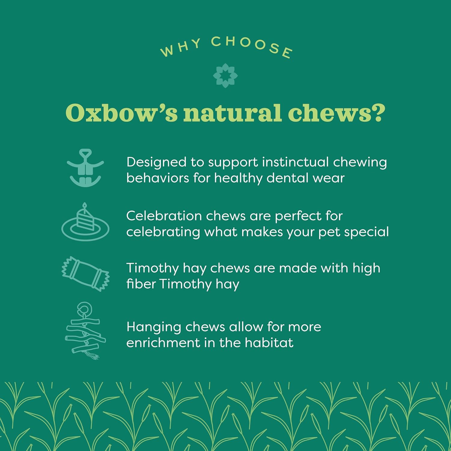 Oxbow Enriched Life Celebration Cupcake : Pet Supplies