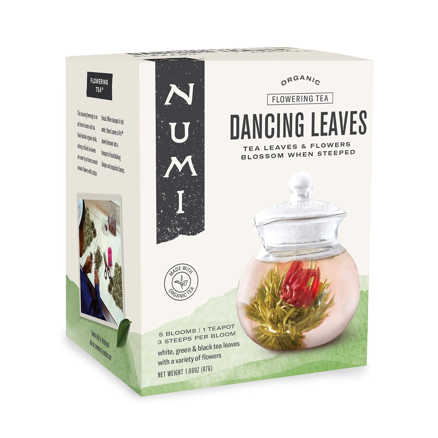 Numi Organic Tea Dancing Leaves Flowering Tea Gift Set, 5 Tea Blossoms With 16 Ounce Glass Teapot (Packaging May Vary)