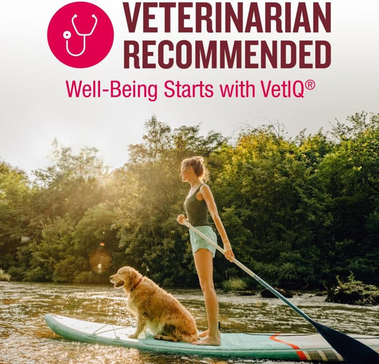 Vetiq Multivitamin Supplement For Dogs, Supports Active Brain Function, Immune System, And Digestive System, Hickory Smoke Flavored Dog Multivitamin, Made In The Usa, 60 Count