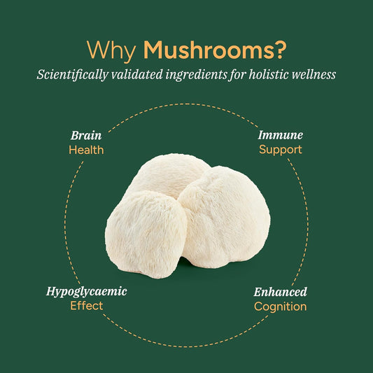 Mushroom Gummies I No Added Sugar I Lions Mane, Reishi, Cordyceps I Brain Health I Overall Wellness I Immune Support I Non-Gmo I 100% Natural & Organic I 300 Mgi 60 Gummy