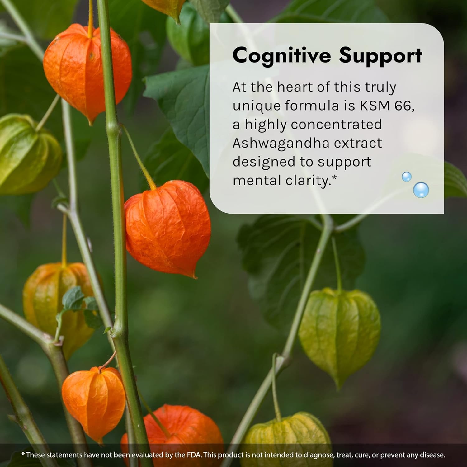 Irwin Naturals Mental Clarity Information Retention - Enhance Attention, Retain & Recall Information Faster - Brain Support Supplement with Ashwagandha, Ginkgo, Rhodiola & Ginseng - 60 Liquid Softgels : Health & Household