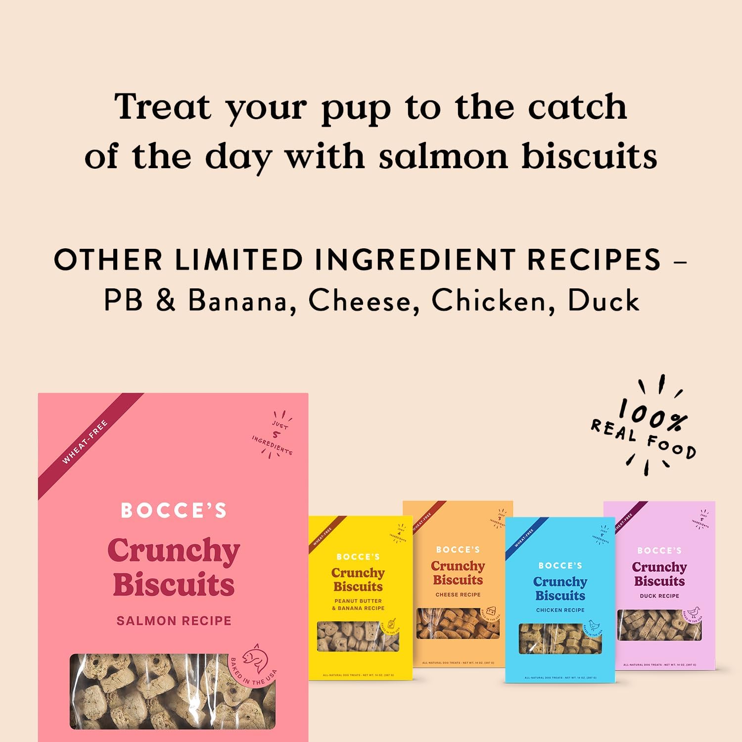Bocce's Bakery Oven Baked Salmon Recipe Treats for Dogs, Wheat-Free Dog Treats, Made with Real Ingredients, Baked in The USA, All-Natural Salmon, Sweet Potato & Parsley Biscuits, 14 oz : Pet Supplies
