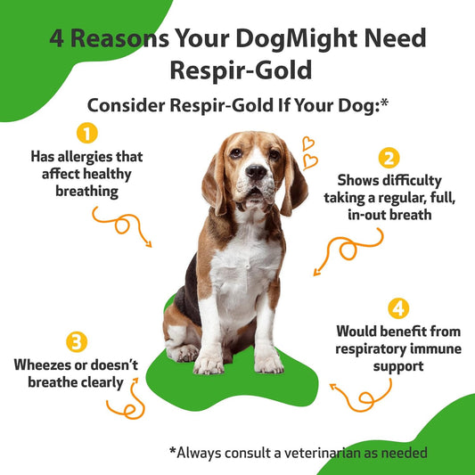 Pet Wellbeing Respir-Gold For Dogs - Vet-Formulated - Easy Breathing, Open Airways, Respiratory Support - Natural Herbal Supplement 2 Oz (59 Ml)
