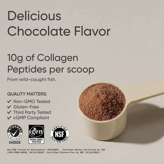 Sports Research Marine Collagen Peptides - Beauty Collagen Supplement For Women & Men - Post Workout Recovery Protein Powder With Vital Amino Acids For Hair, Skin, & Joint Support (Dark Chocolate)