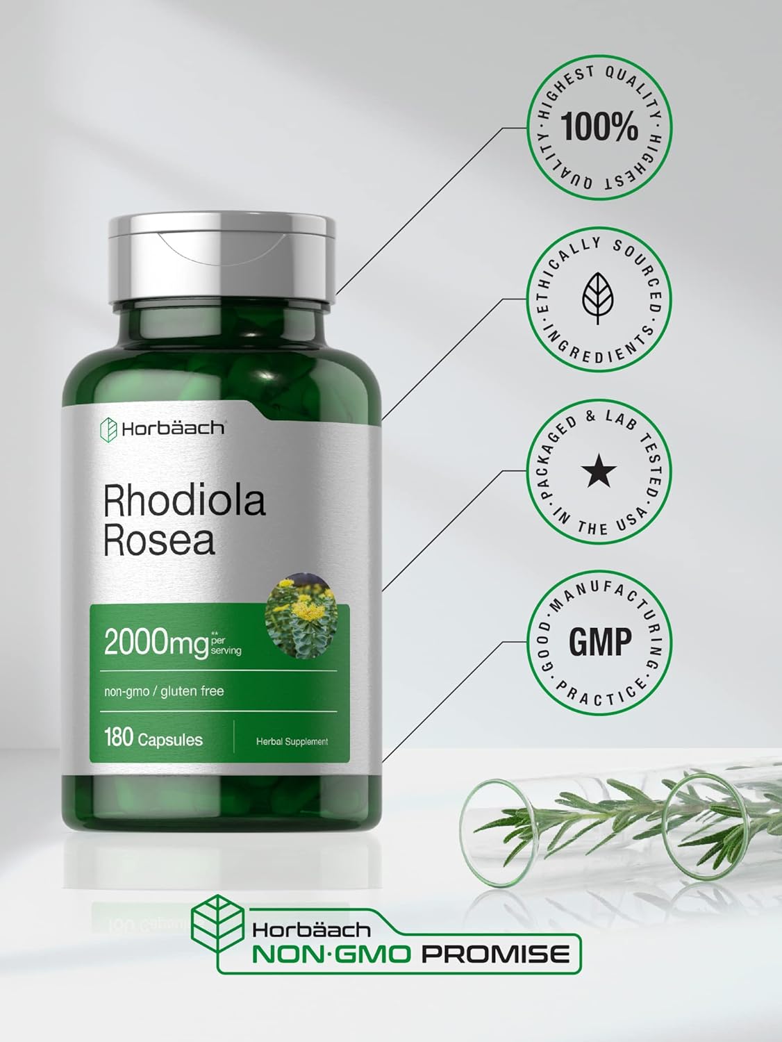 Horbäach Rhodiola Rosea Capsules 2000mg | 180 Count | Non-GMO, Gluten Free Supplement : Health & Household