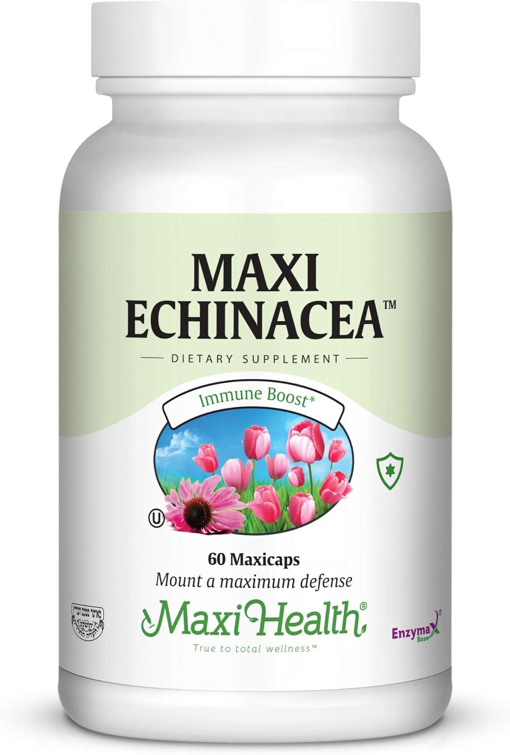 Maxi Health Echinacea - 4% Echinacosides Standardized Extract - Immune Boost - 60 Capsules - Kosher (Qech)