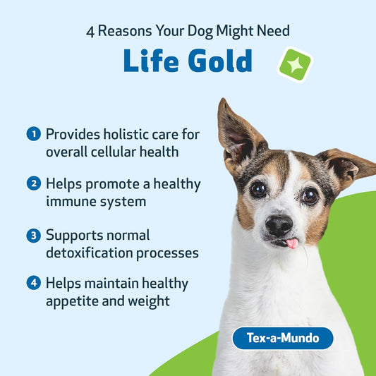 Pet Wellbeing Life Gold For Dogs & Cats - Immune Support, Antioxidants, Detoxification, Cellular Health, Astragalus, Blessed Thistle - Veterinarian-Formulated Herbal Supplement 4 Oz (118 Ml)