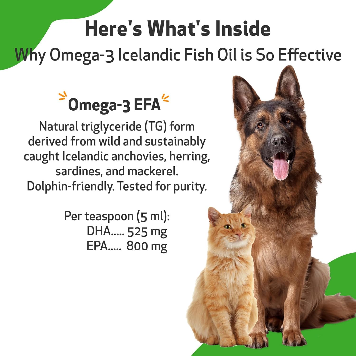 Pet Wellbeing Omega-3 Daily EFA Fish Oil for Dogs & Cats - Healthy Skin, Coat, Mobility, Joints, Heart Health - EPA, DHA - 8 fl oz (236 ml) : Pet Supplies