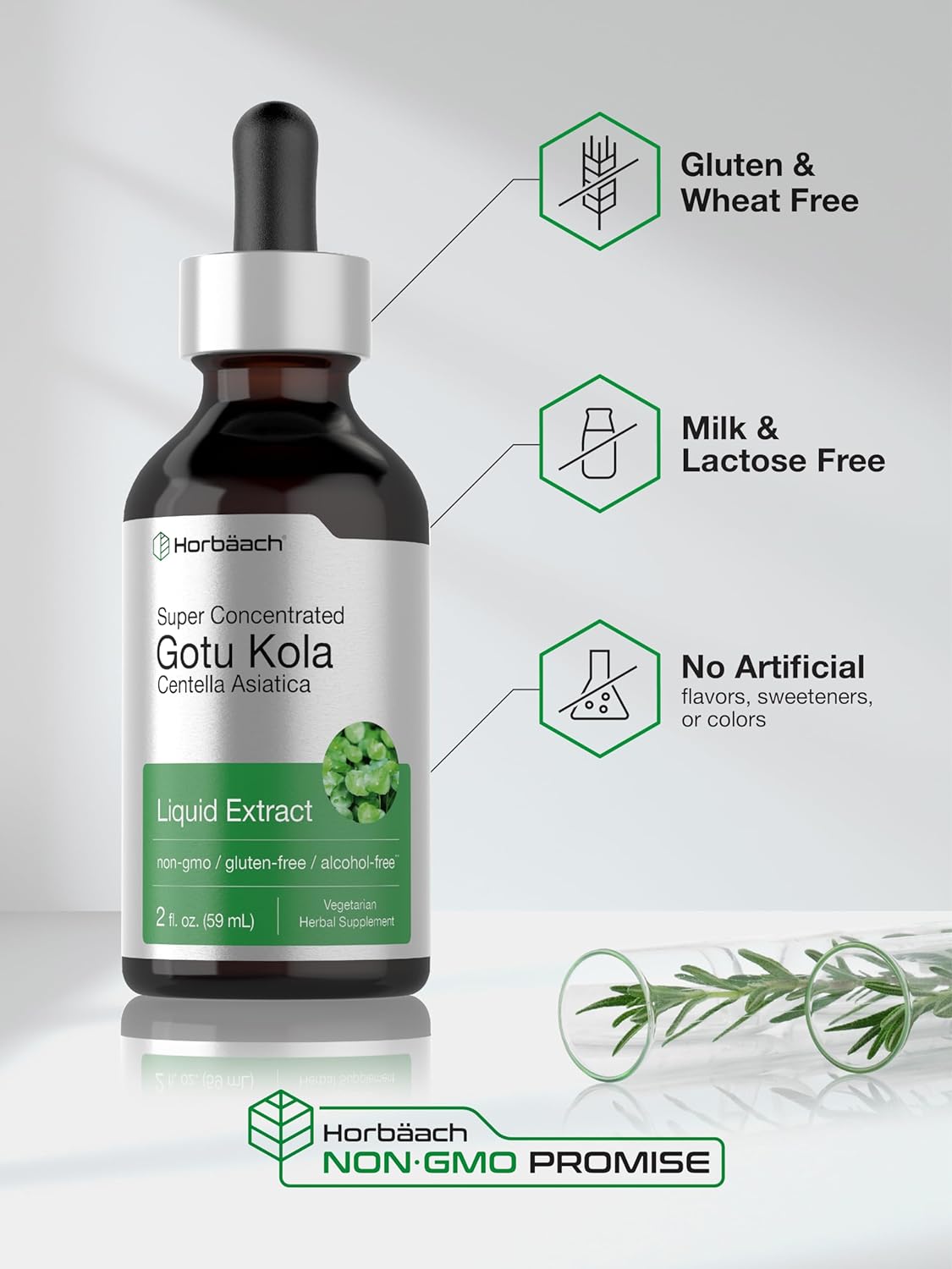 Horbäach Gotu Kola Extract | 2 fl oz | Alcohol Free | Super Concentrated Liquid Herb Supplement | Vegetarian, Non-GMO, Gluten Free : Health & Household