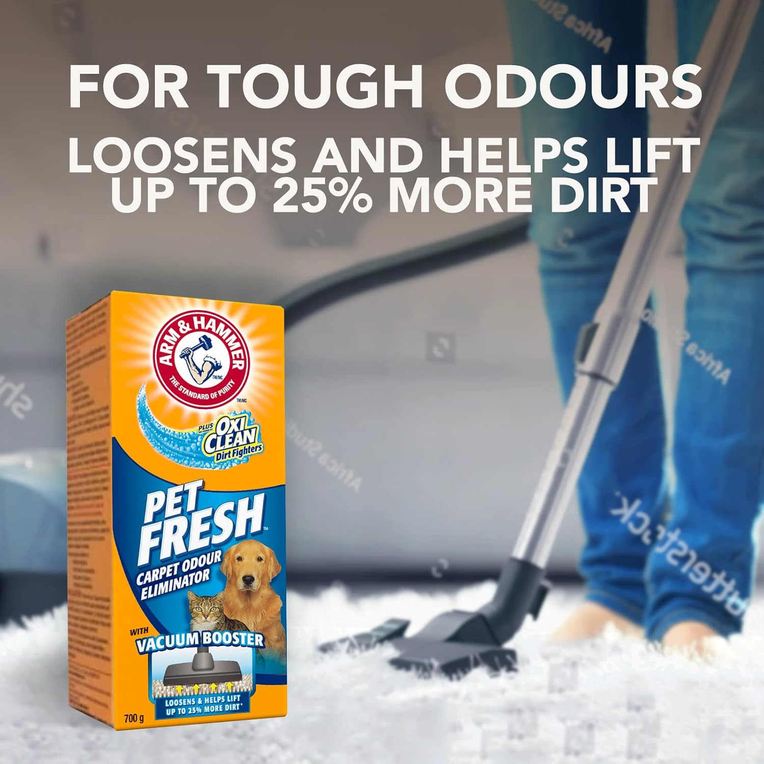Arm & Hammer 700G Pet Carpet Deodorizer