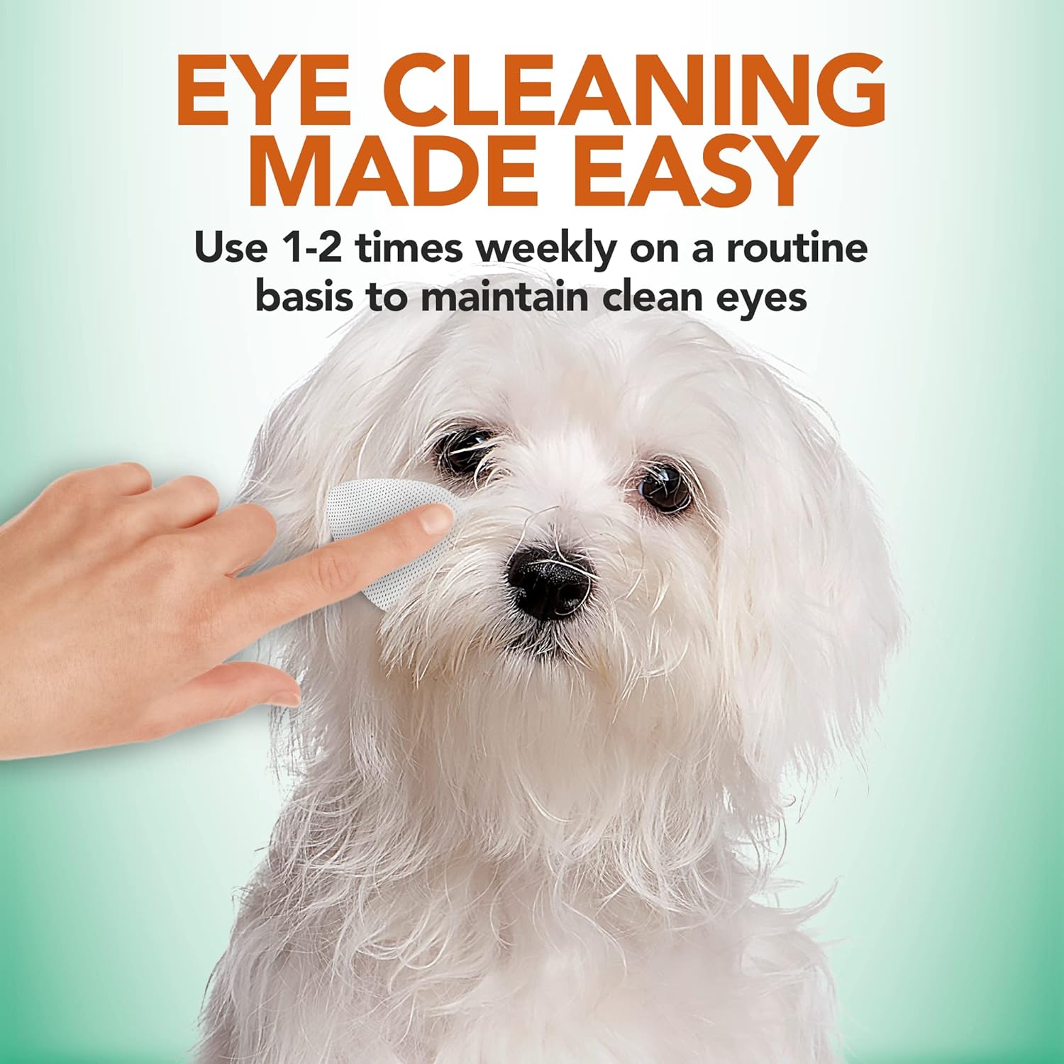 Vet's Best Natural eye cleansing wipes for dogs - 100 disposable wipes :Pet Supplies