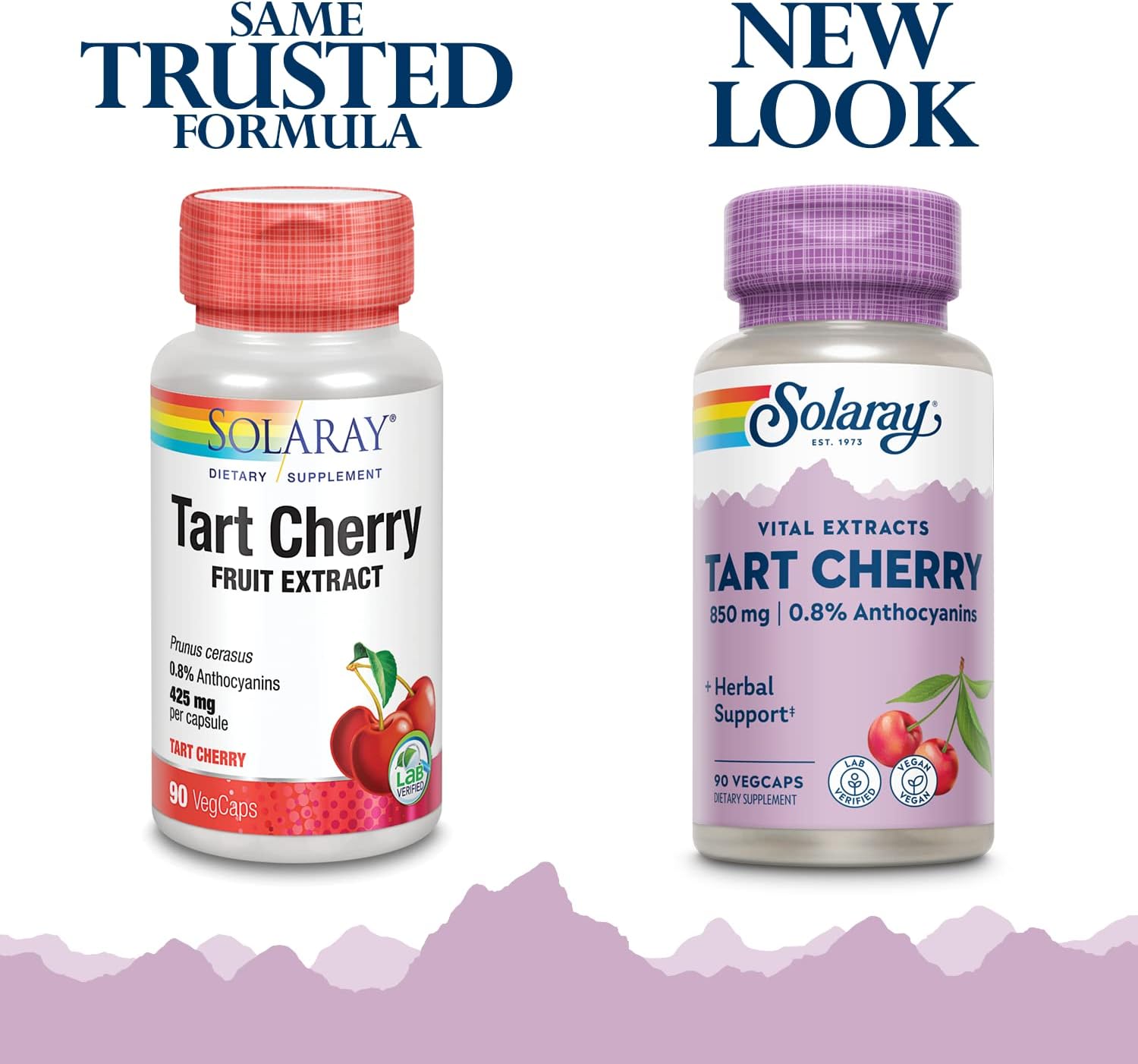 SOLARAY Tart Cherry Fruit Extract 425mg | Supports Healthy Uric Acid Levels w/Antioxidants & Anthocyanins | Non-GMO & Vegan | 90 VegCaps