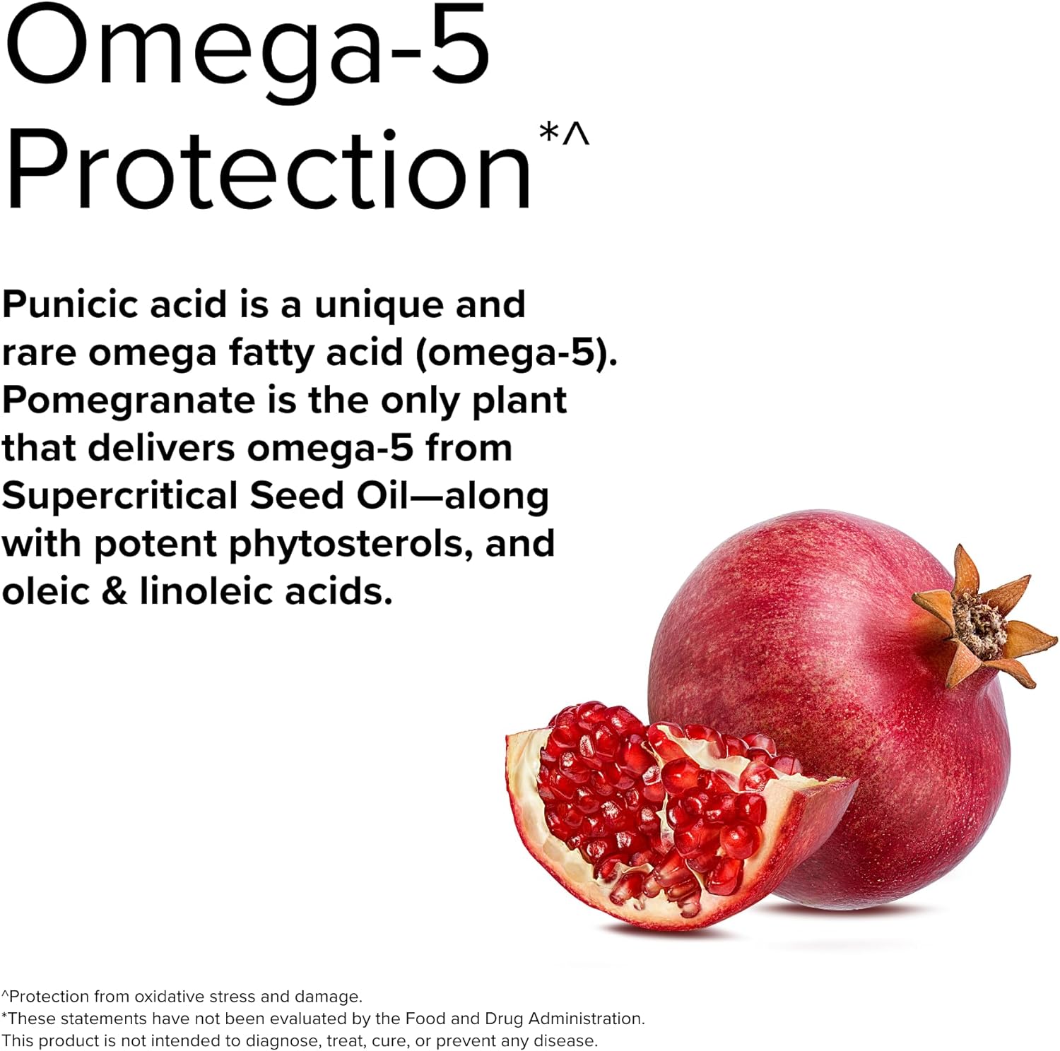 Terry Naturally Pomegranate Seed Oil - 60 Softgels - Cell-Protecting Power - Non-GMO, Gluten Free - 60 Servings : Health & Household