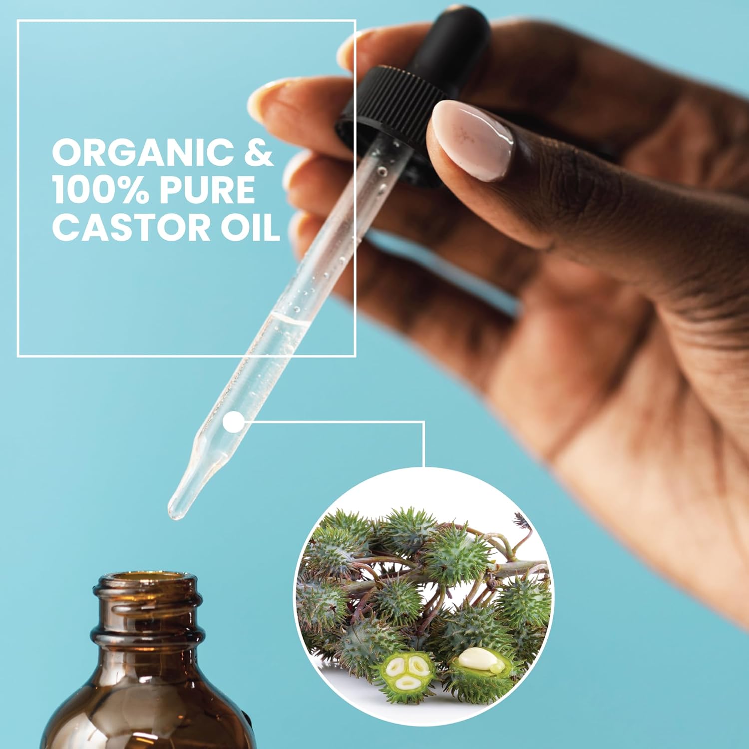 Eva Naturals Castor Oil (2oz) - Promotes Hair, Lash and Brow Growth, Diminishes Wrinkles and Anti-Aging - 100% Pure and Organic for Hair Treatment : Beauty & Personal Care