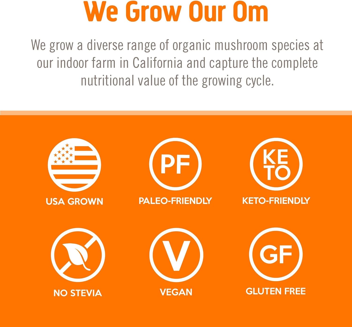 Om Mushroom Superfood Energy Plus Mushroom Powder Drink Mix, Citrus Orange, 7.05 Ounce, 32 Servings, Mushroom Blend, Cordyceps, Yerba Mate, Tumeric, Vitamin B Complex, Pre-Workout, Immune Supplement : Grocery & Gourmet Food