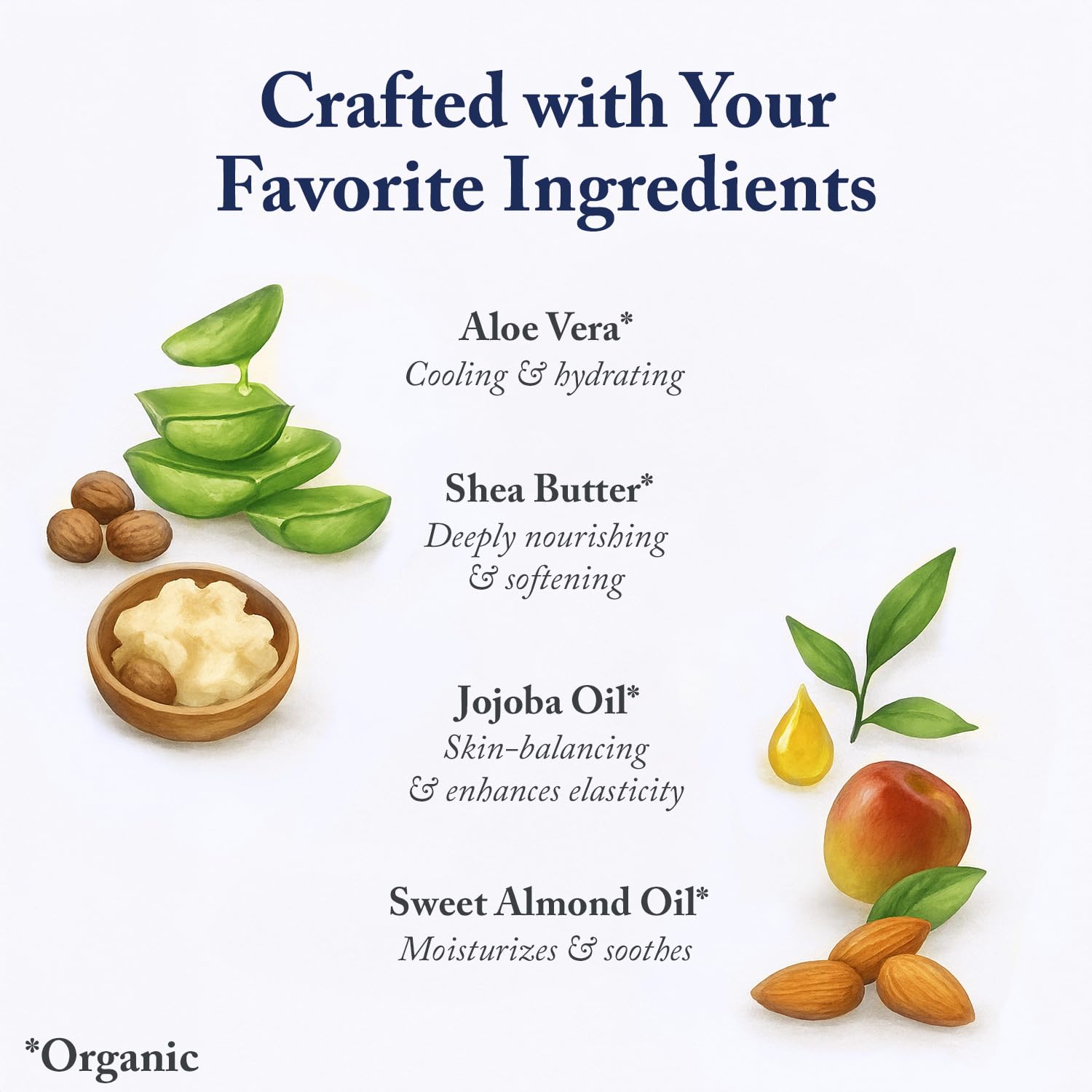 Beauty Without Cruelty Lotion, Fragrance-Free – Hand & Body Treatment With Vitamin C, Vitamin E, And Vitamin B5 (Panthenol), Vegan-Friendly & Cruelty-Free, 16 Oz