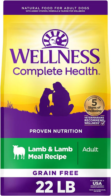 Wellness Complete Health Grain Free Adult Dry Dog Food, Lamb & Lamb Meal Recipe, 22 Pound Bag