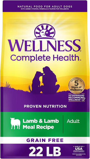 Wellness Complete Health Grain Free Adult Dry Dog Food, Lamb & Lamb Meal Recipe, 22 Pound Bag