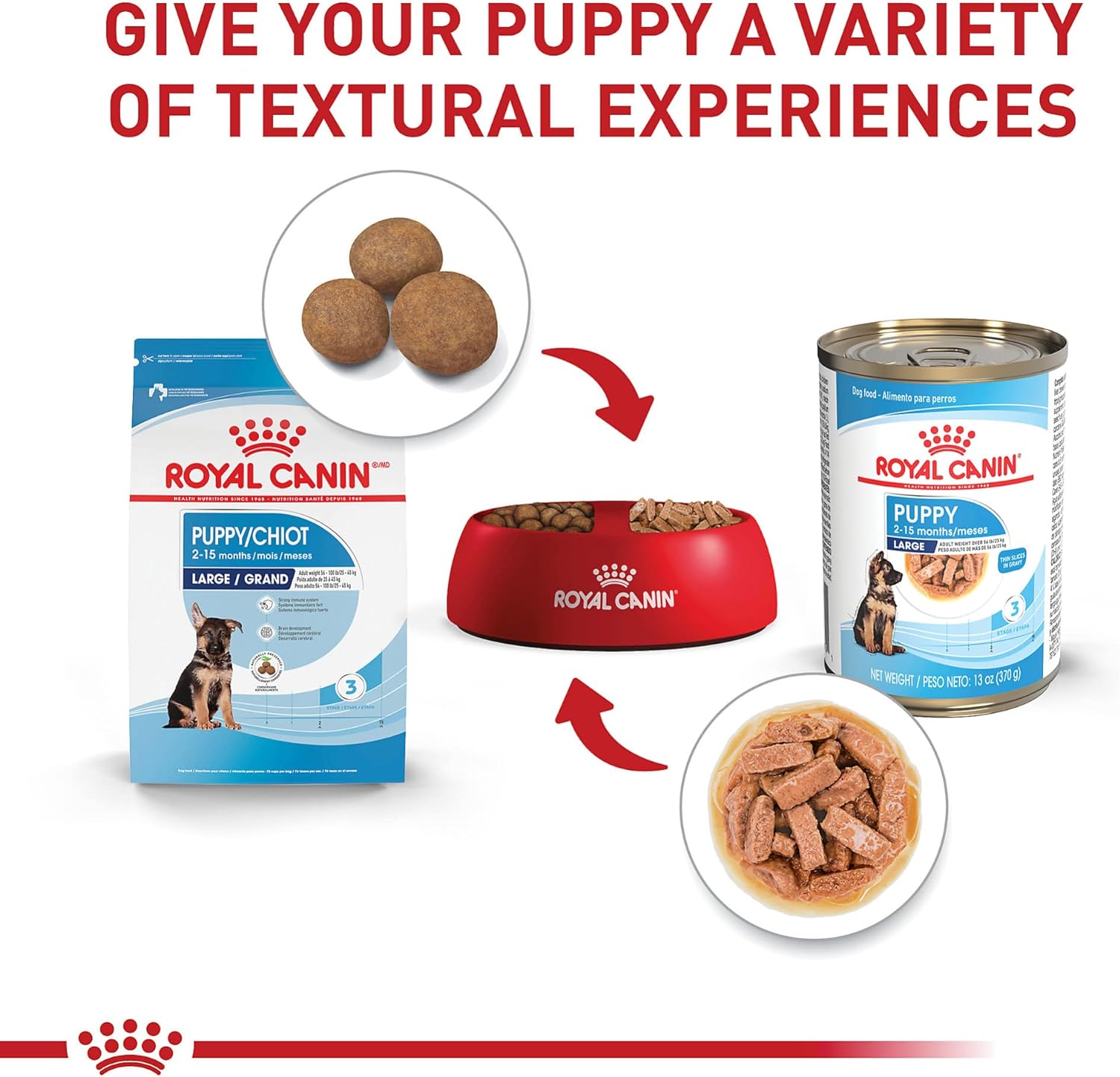 Royal Canin Size Health Nutrition Large Puppy Thin Slices in Gravy Wet Dog Food, 13 Oz Can (6-Pack) : Pet Supplies