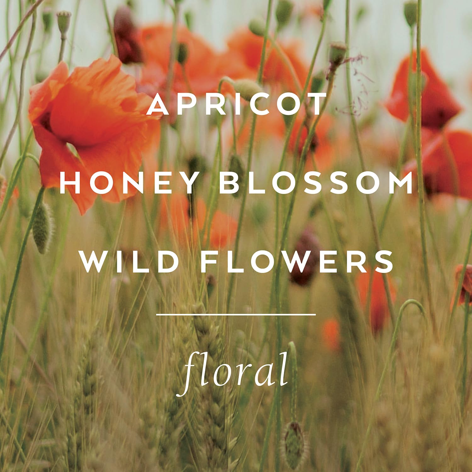 Library Of Flowers Field & Flowers Parfum Crema, 2.5 Oz. - Apricot, Honeyed Blossom & Wildflowers - Women'S Fragrance, Perfume For Women, Perfumed Body Lotion : Bath And Shower Gels : Beauty & Personal Care