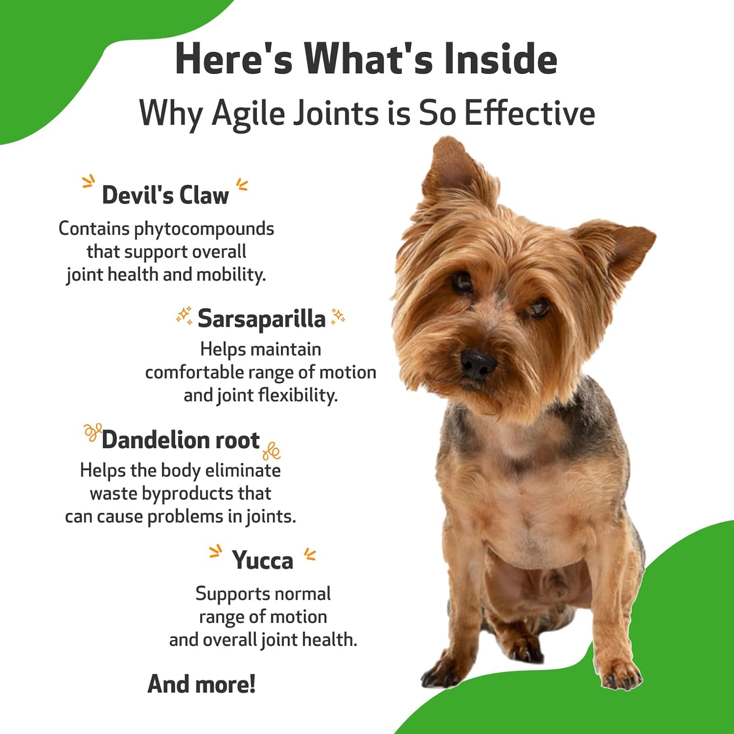 Pet Wellbeing Agile Joints for Dogs - Vet-Formulated - Joint Health, Mobility, Ease of Movement - Natural Herbal Supplement 2 oz (59 ml) : Pet Supplies